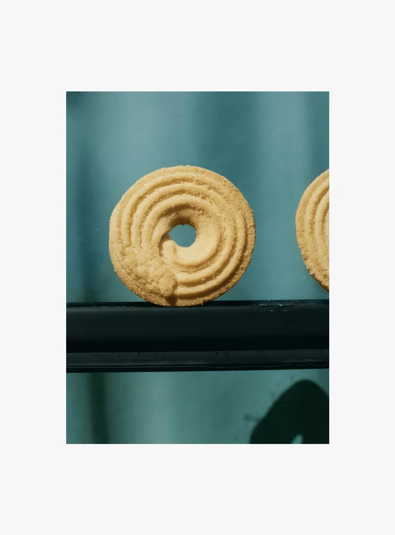 ANEST COLLECTIVE img