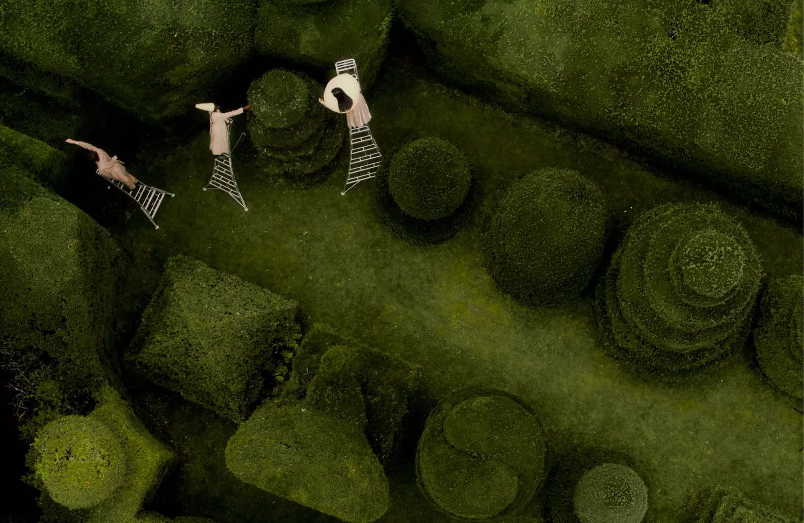 ANEST COLLECTIVE img