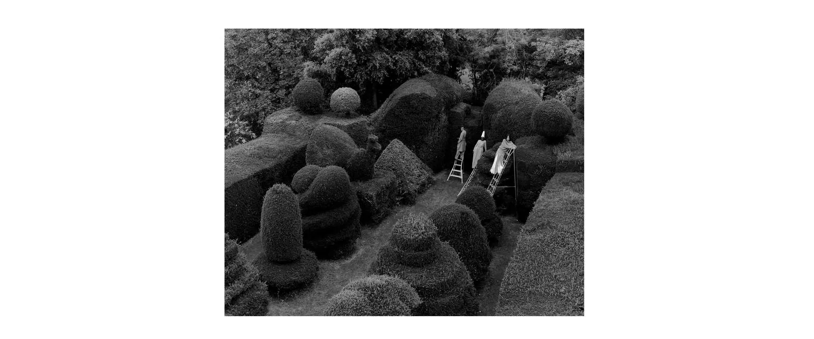 ANEST COLLECTIVE img