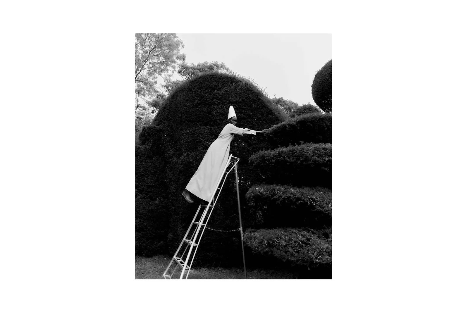 ANEST COLLECTIVE img