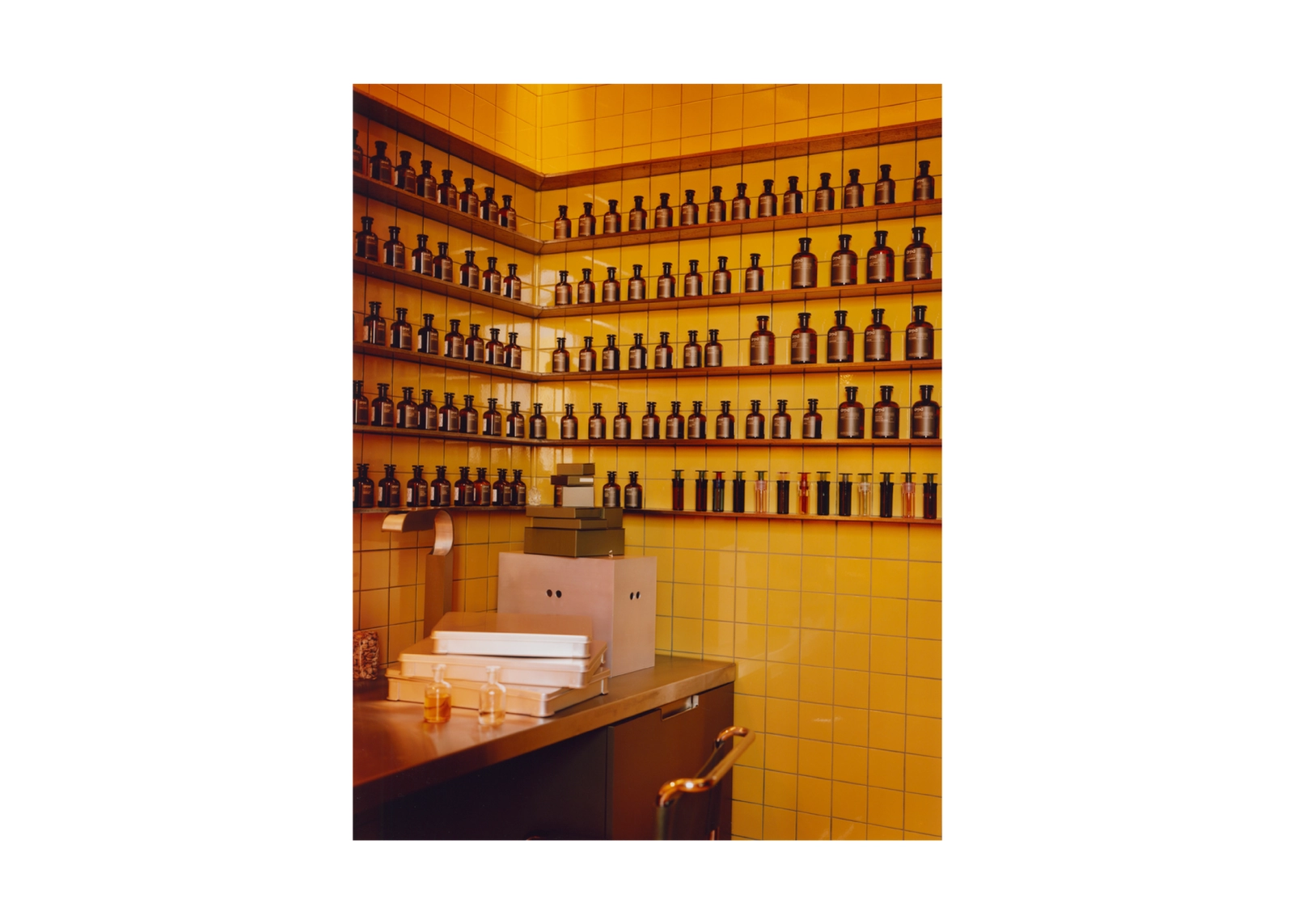 ANEST COLLECTIVE img