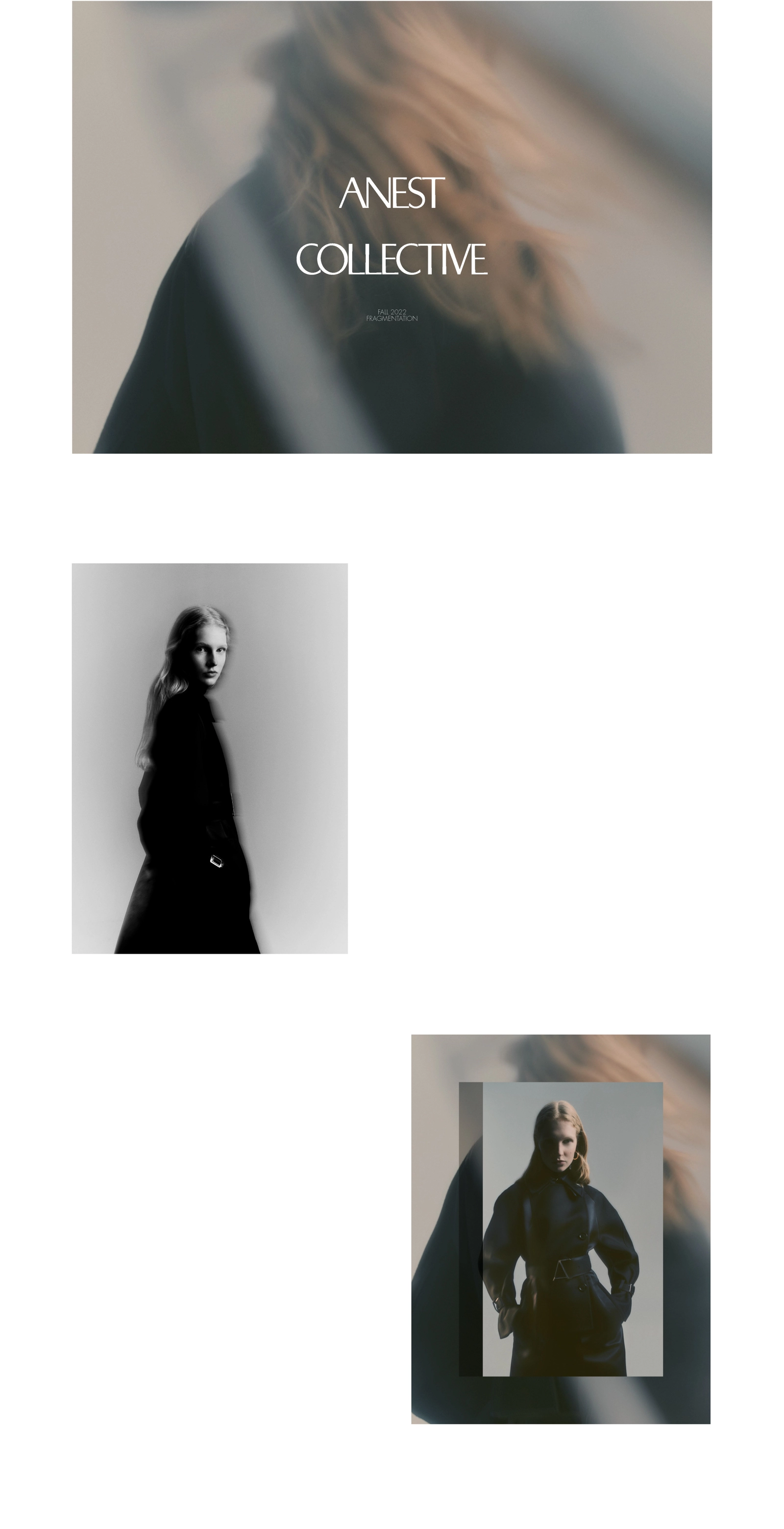 ANEST COLLECTIVE img