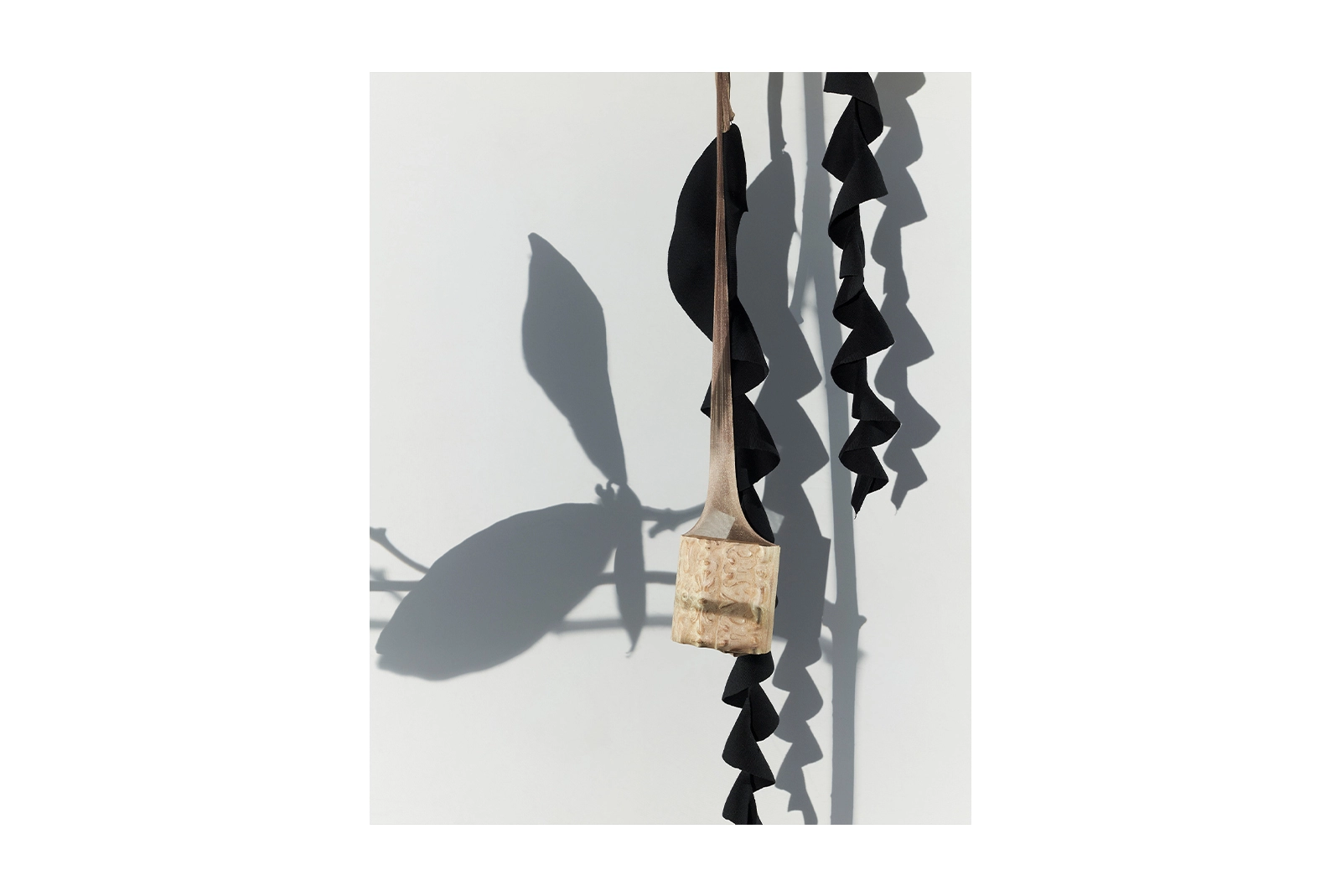 ANEST COLLECTIVE img