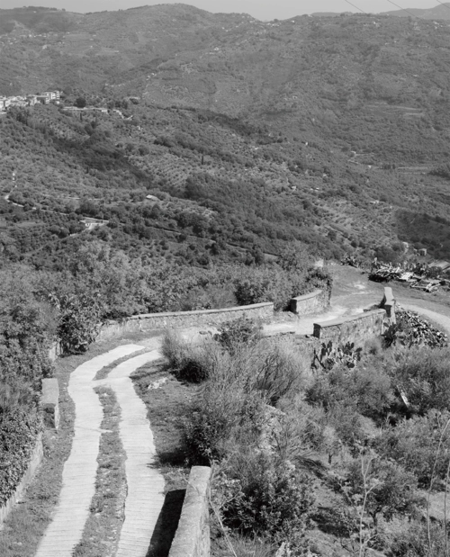 ANEST COLLECTIVE img