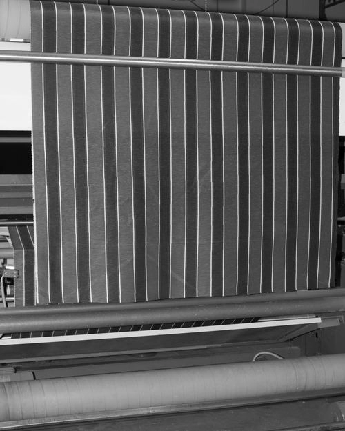 ANEST COLLECTIVE img