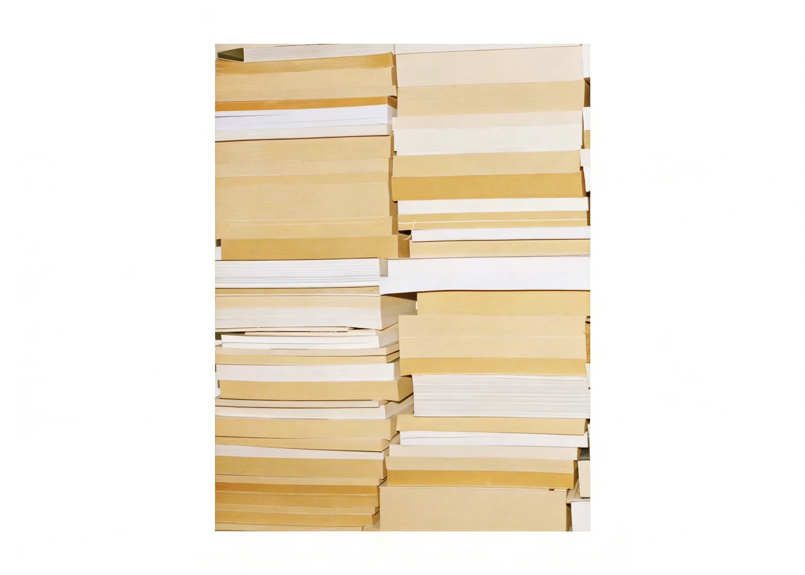 ANEST COLLECTIVE img